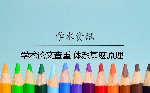 学术论文查重 体系甚麽原理