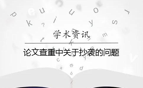 论文查重中关于抄袭的问题