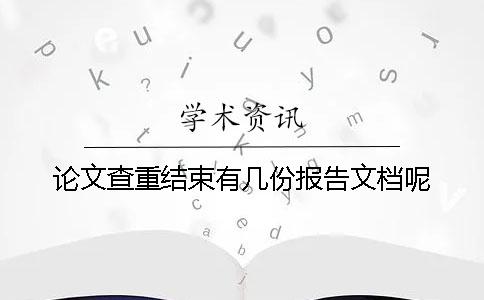 论文查重结束有几份报告文档呢