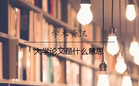 大学论文是什么意思