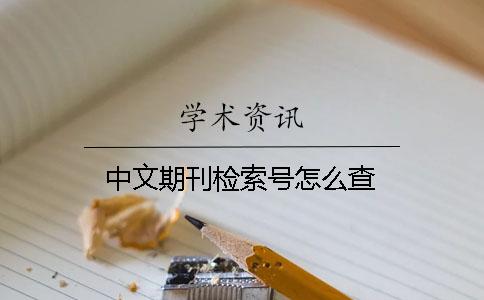 中文期刊检索号怎么查