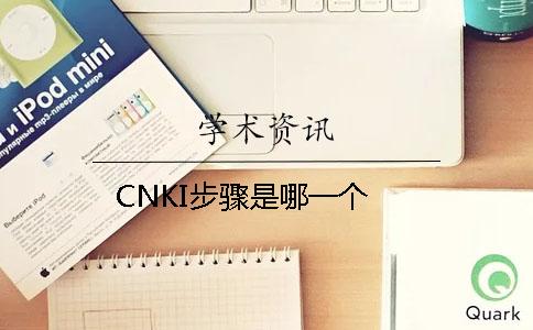 CNKI步骤是哪一个？？